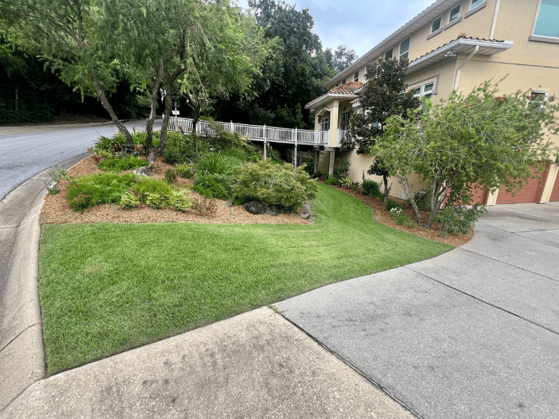 Green grass front yard